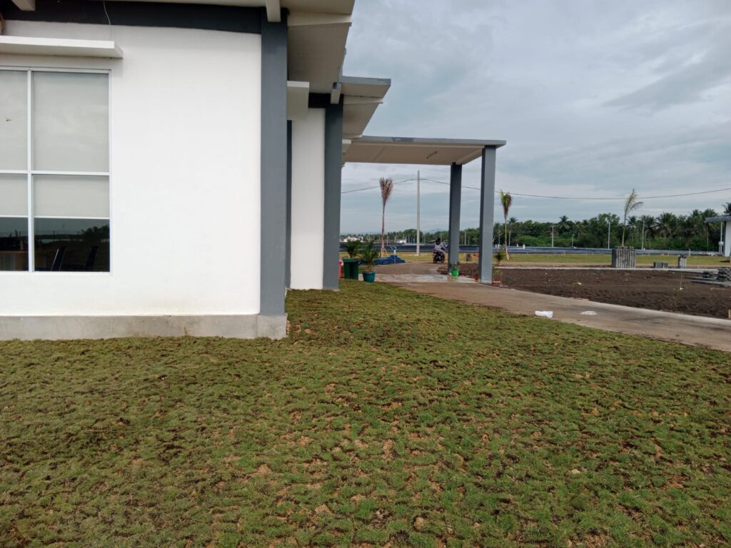 rumput yang sudah terpasang