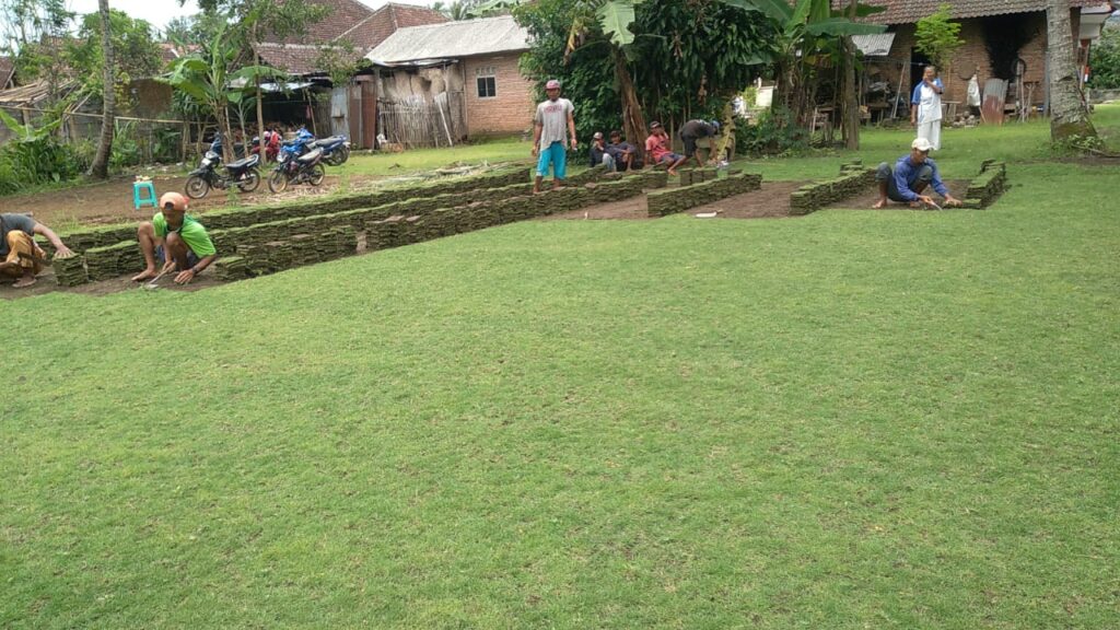 jual rumput taman kediri