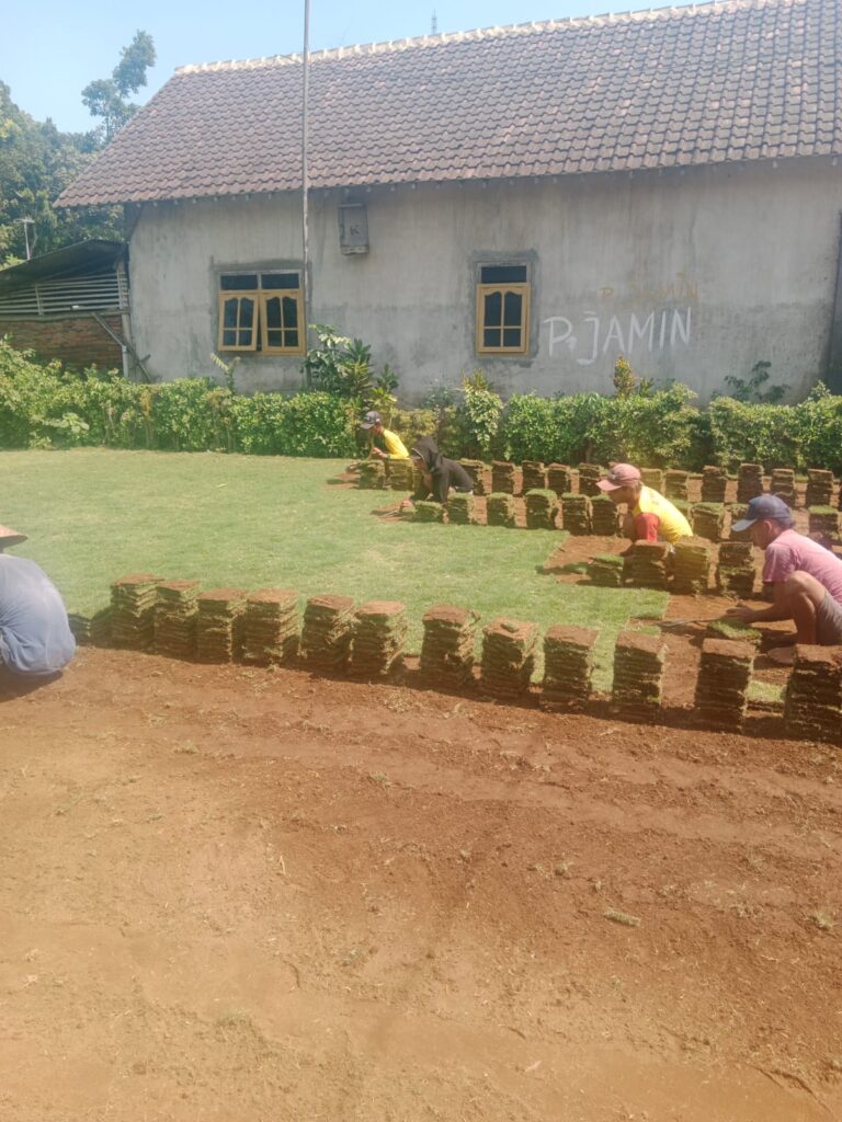 supplier rumput pacitan