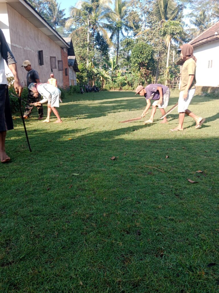 jual rumput zoysia matrella sukoharjo