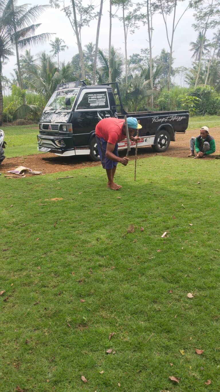 jual rumput zoysia matrella kendal