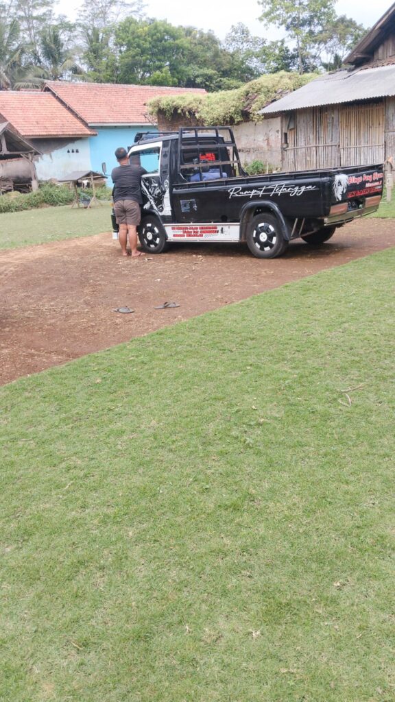jual rumput zoysia matrella purworejo