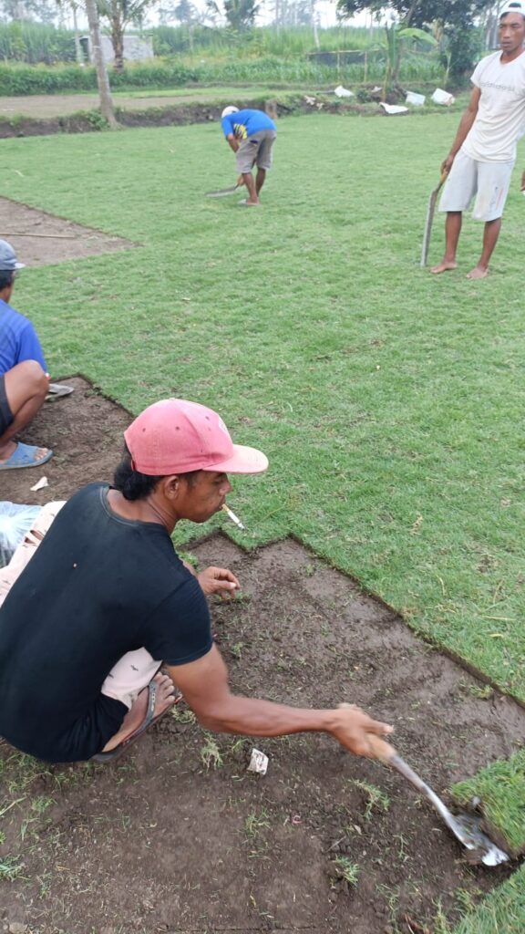 jual rumput zoysia sukoharjo