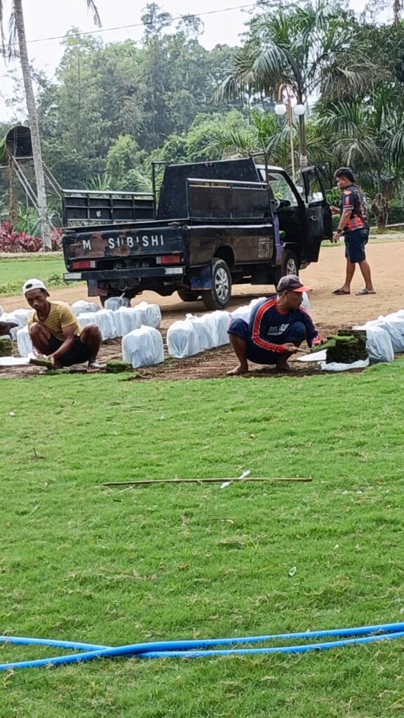 supplier rumput zoysia pemalang