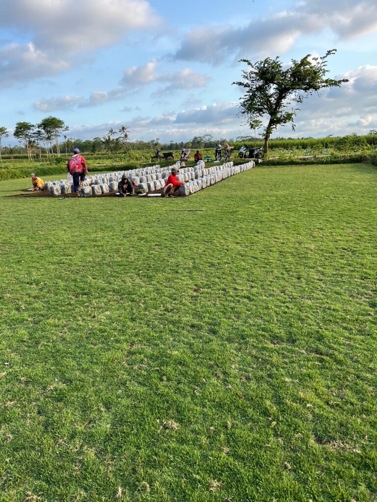 supplier rumput zoysia bandung barat