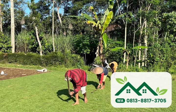 Panen rumput di kebun Natasya Garden, Wajak, Kabupaten Malang