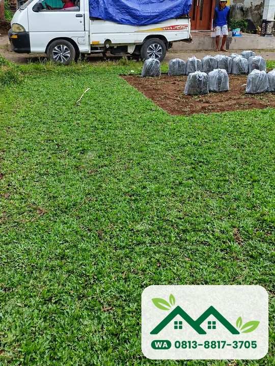 Menghitung kebutuhan rumput untuk halaman