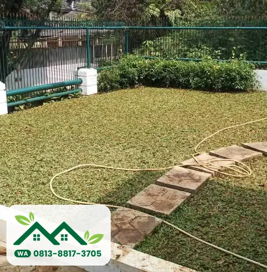 Taman rumah dengan rumput yang baru dipasang dan selang untuk menyiram