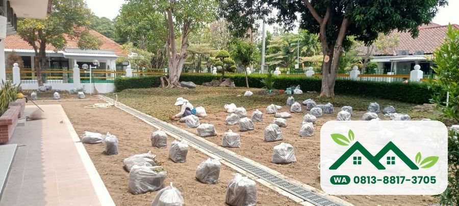 Proses pasang rumput jepang di perumahan Petrokimia Gresik