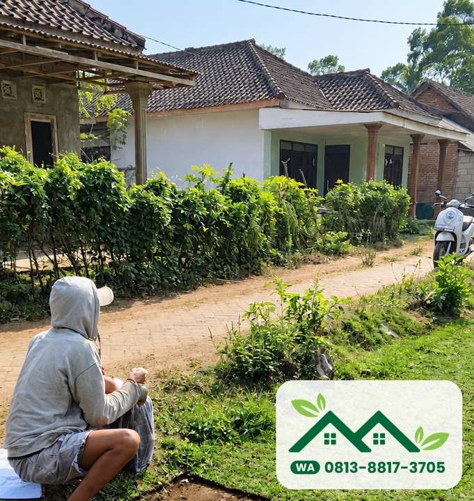 Halaman rumah tertutup rumput jepang