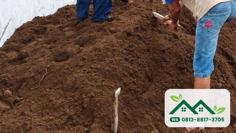 Tanah subur Jombang: tanah humus diturunkan dari truk