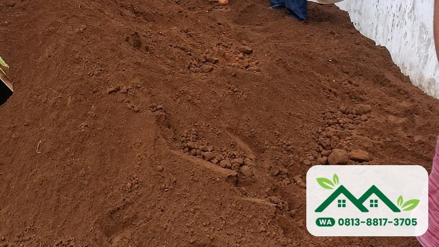 Tanah subur Lamongan: tanah humus dihampar pekerja