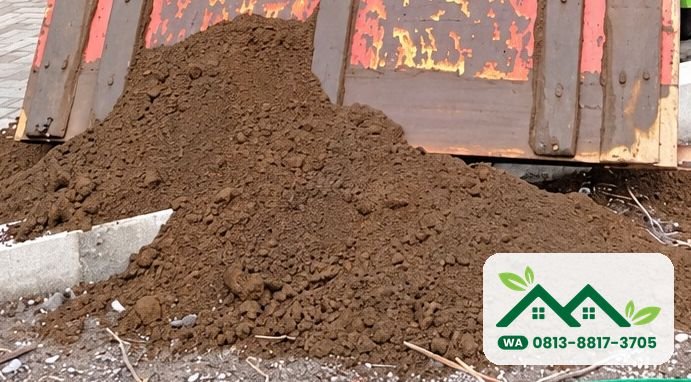 Tanah subur Probolinggo: tanah humus diturunkan dari bak truk