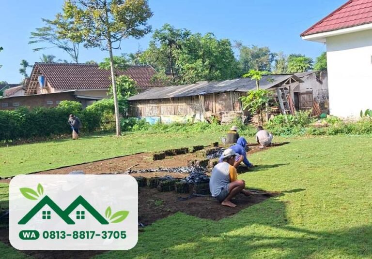 Tim memanen lembaran rumput di kebun sebelum dimuat ke truk